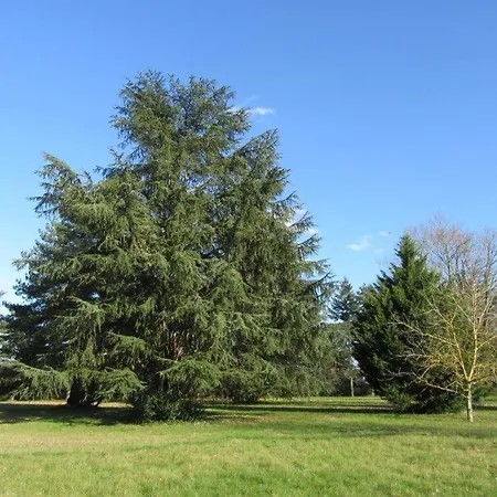 Nyaraló La Chamade Albi