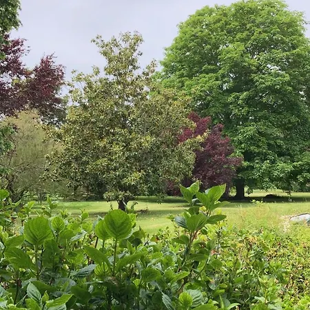 La Chamade Albi Nyaraló *