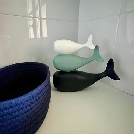 La Chamade Albi Terssac