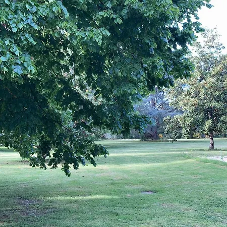 La Chamade Albi Nyaraló Terssac