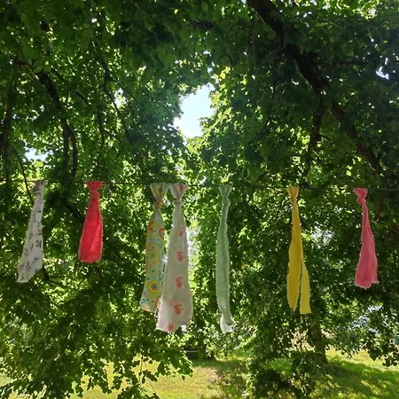 Nyaraló La Chamade Albi Terssac